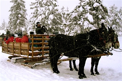 Breckenridge Dinner Sleigh Ride