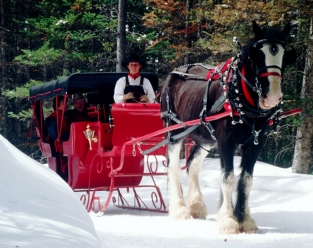 Exclusive Breckenridge Sleigh Rides