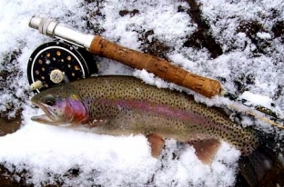 Breckenridge Fly Fishing - Breckenridge, Colorado